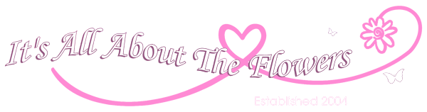 All About Flowers in Rothwell Logo